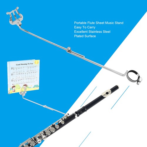 Flute music clip - music,
