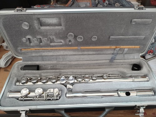Simba flute with - simba,